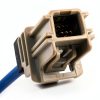 GM Antenna Relay GM Genuine Parts Black Male-2